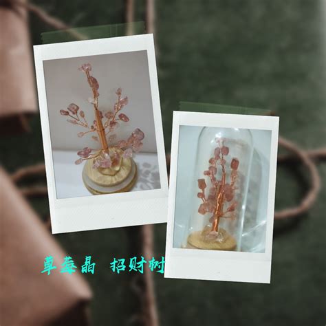 防小人小物|上班族辦公桌上必備！招桃花、防小人還能填滿財庫的小植栽TOP5